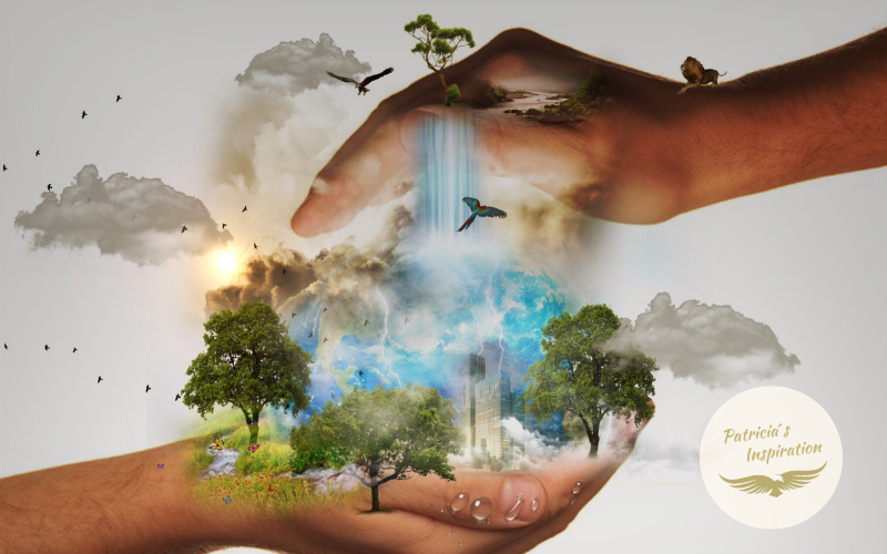 Deine Vorstellungen von der Realität bestimmen, wie du die Realität erlebst!