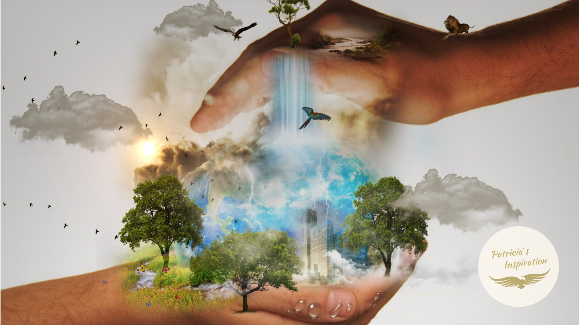 Deine Vorstellungen von der Realität bestimmen, wie du die Realität erlebst!